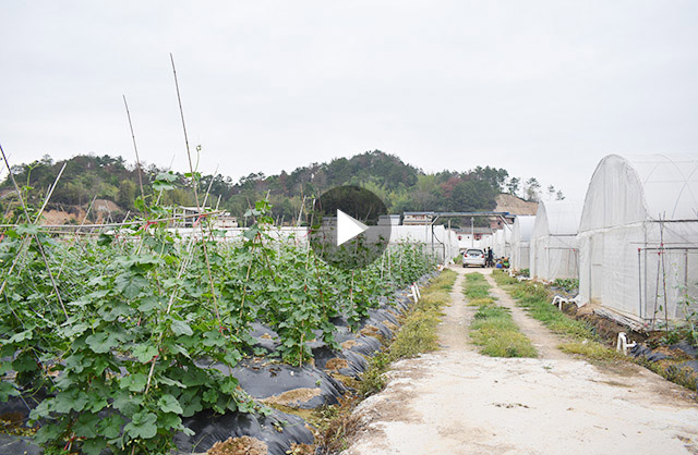  梅州市鹉鵬農業科技有限公司